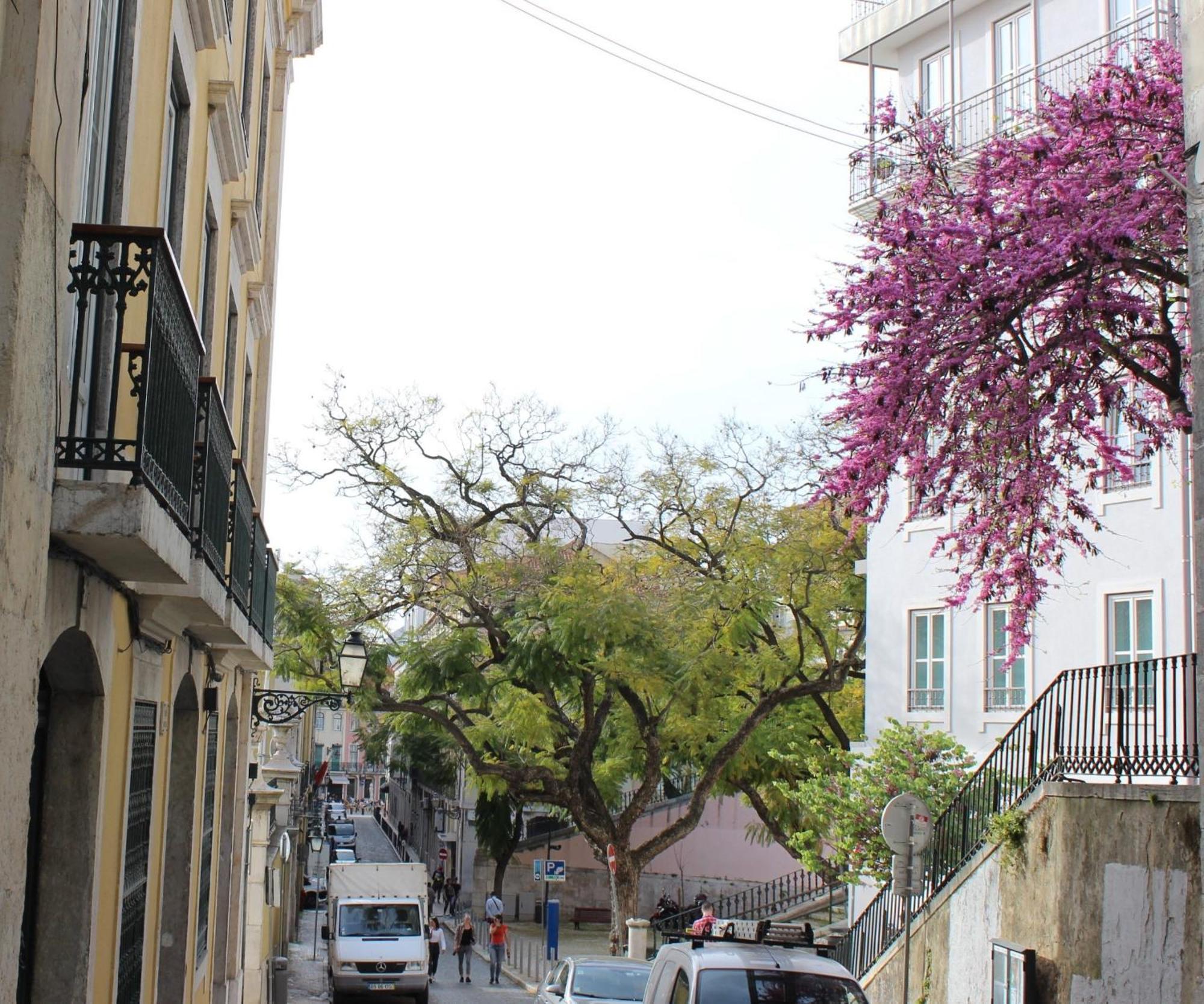 Retrato De Lisboa Apartment Exterior photo